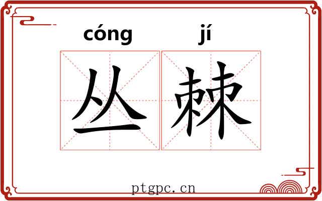 丛棘 丛棘