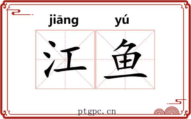 江鱼 江鱼
