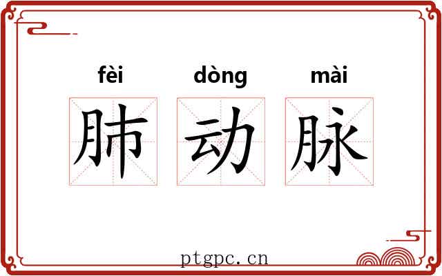 肺动脉 肺动脉