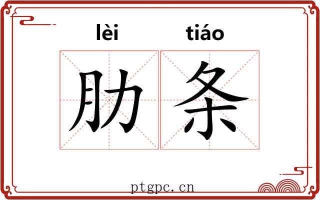 肋条