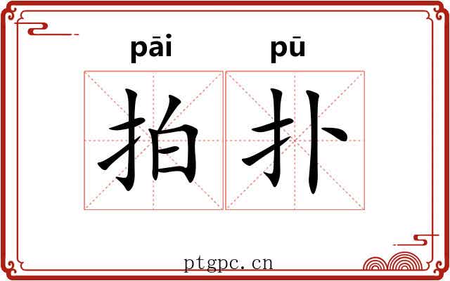 拍扑