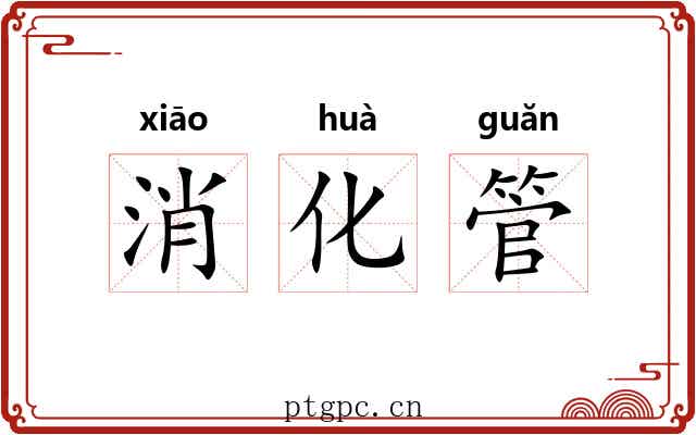 消化管