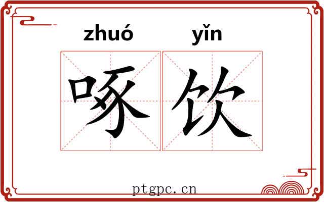 啄饮