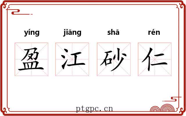 盈江砂仁 盈江砂仁