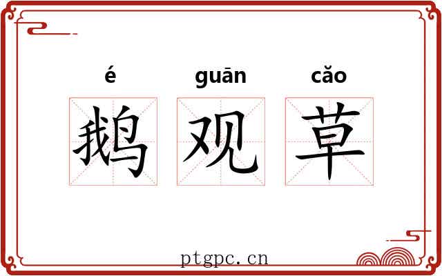 鹅观草 鹅观草
