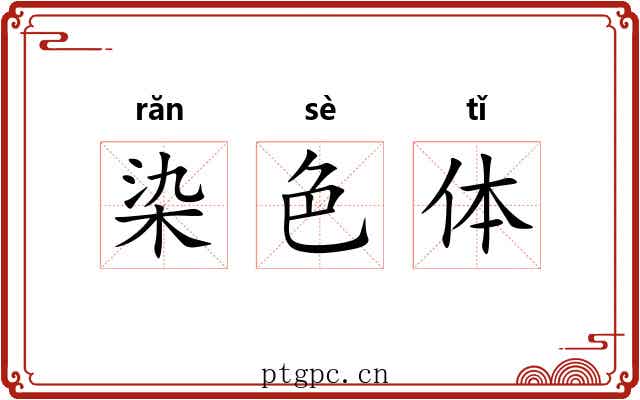 染色体 染色体