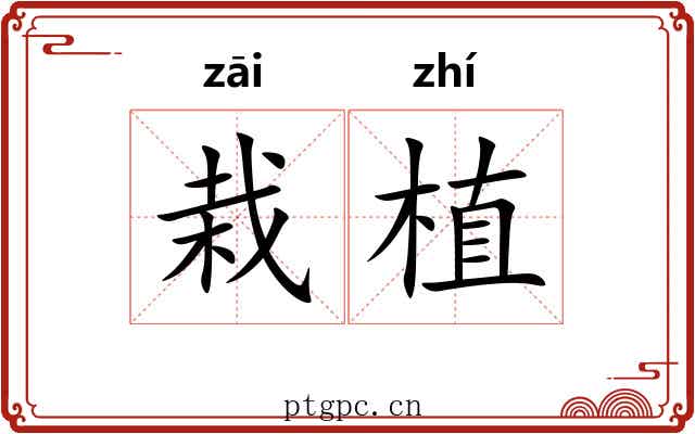 栽植