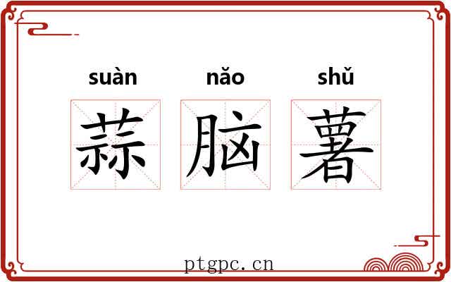 蒜脑薯 蒜脑薯