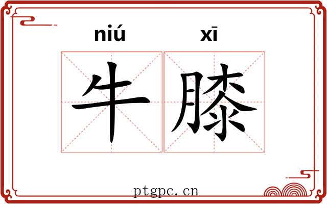 牛膝