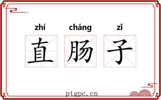 直肠子 直肠子