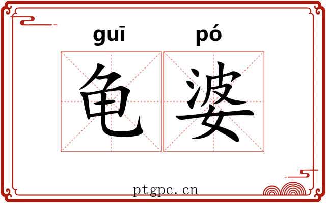 龟婆 龟婆