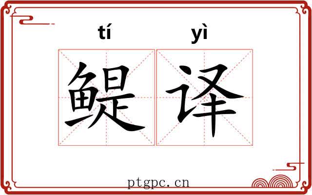 鳀译