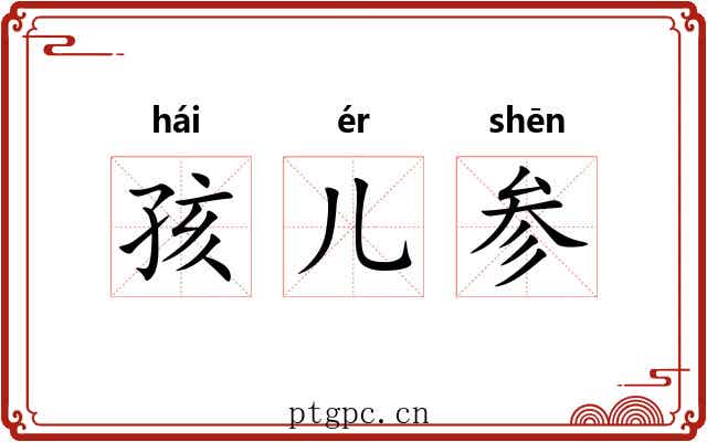 孩儿参
