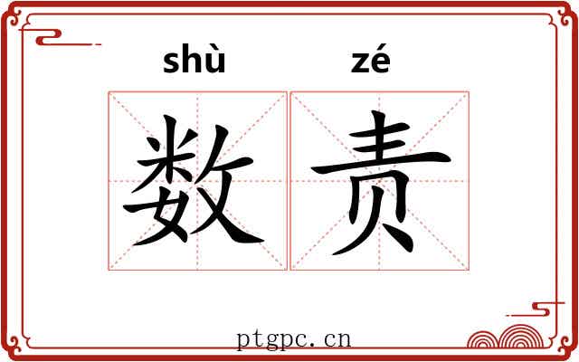数责 数责