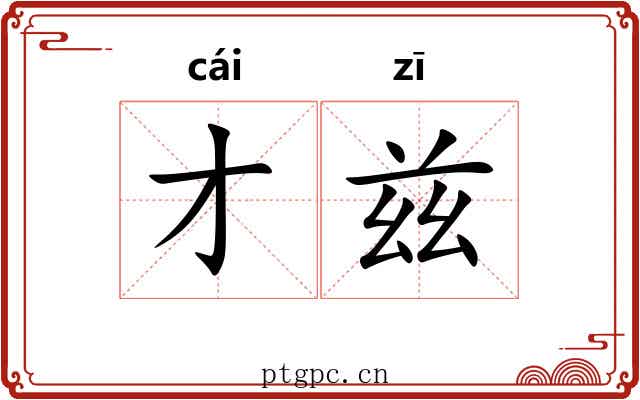 才兹