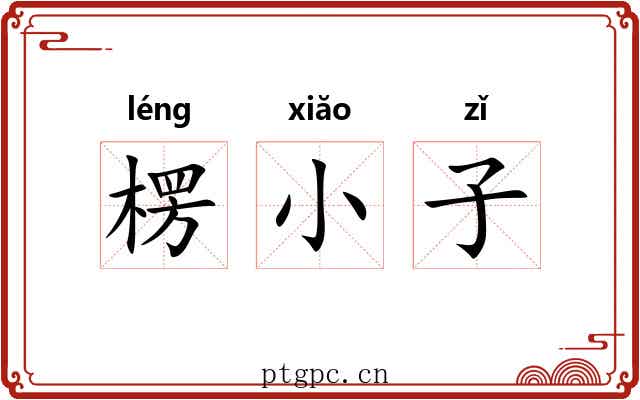 楞小子 楞小子