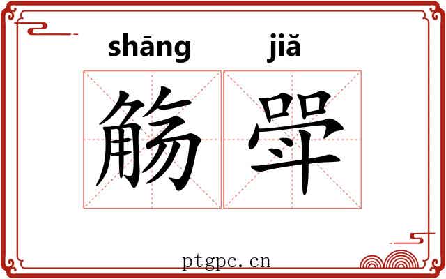 觞斝
