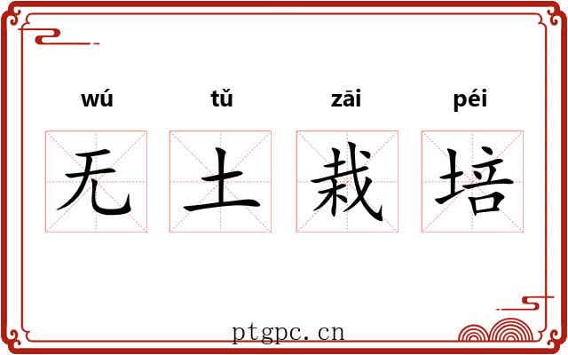 无土栽培 无土栽培