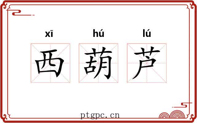 西葫芦 西葫芦
