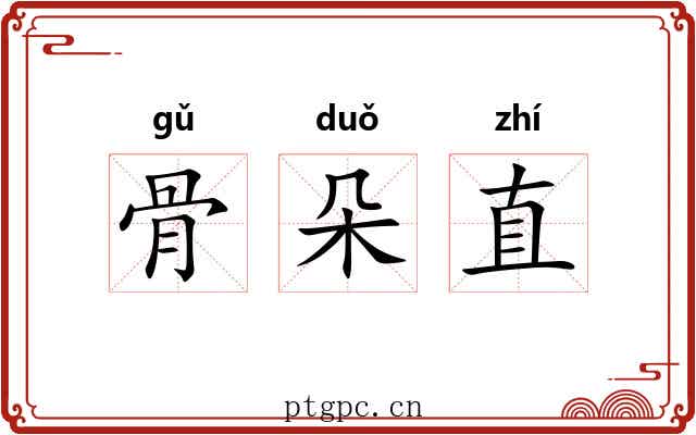 骨朵直 骨朵直