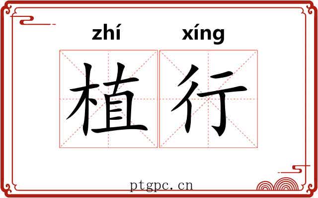 植行 植行