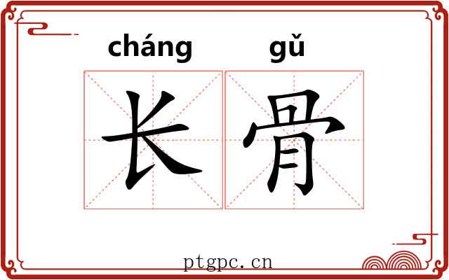 长骨 长骨