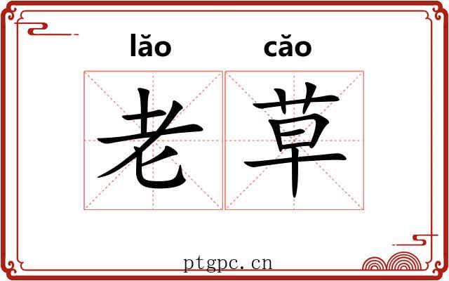 老草 老草