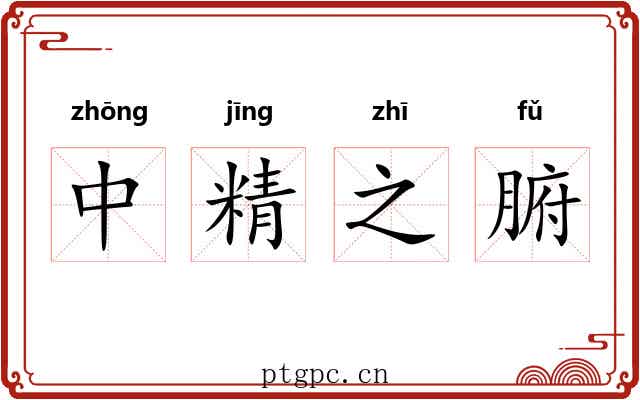 中精之腑