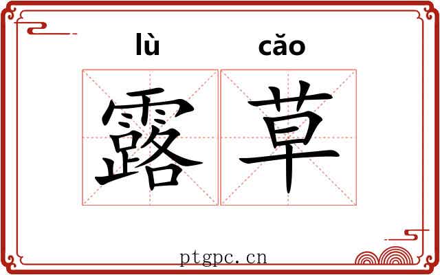露草 露草