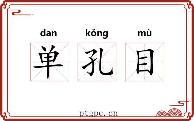 单孔目 单孔目
