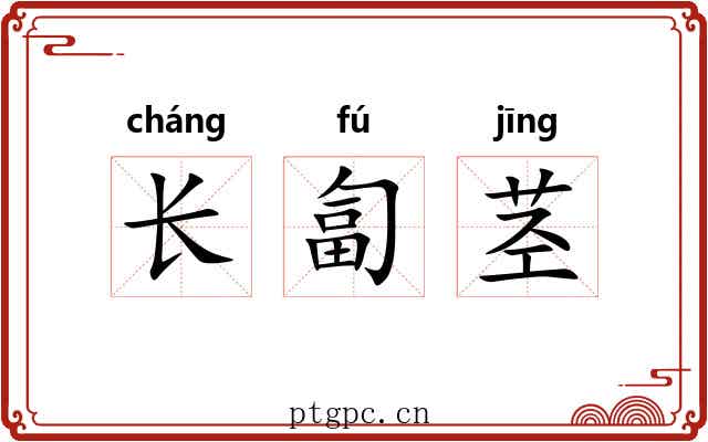 长匐茎