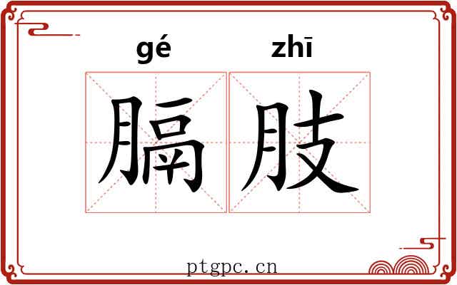膈肢