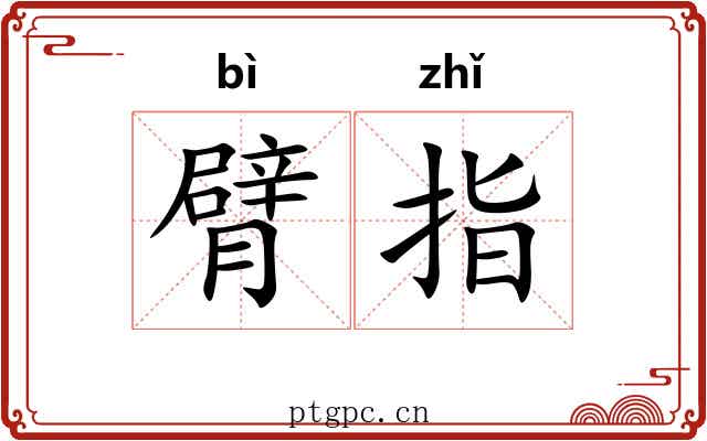 臂指