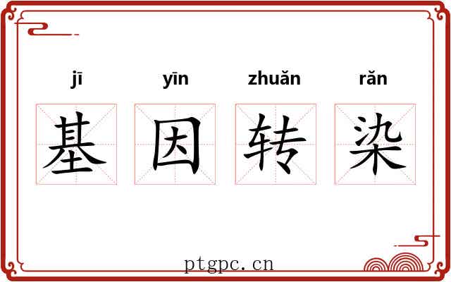基因转染 基因转染