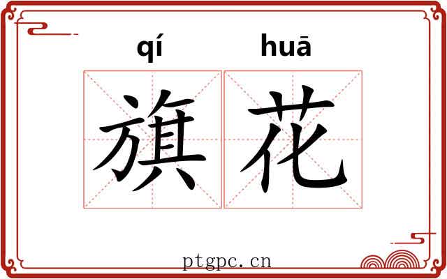 旗花 旗花