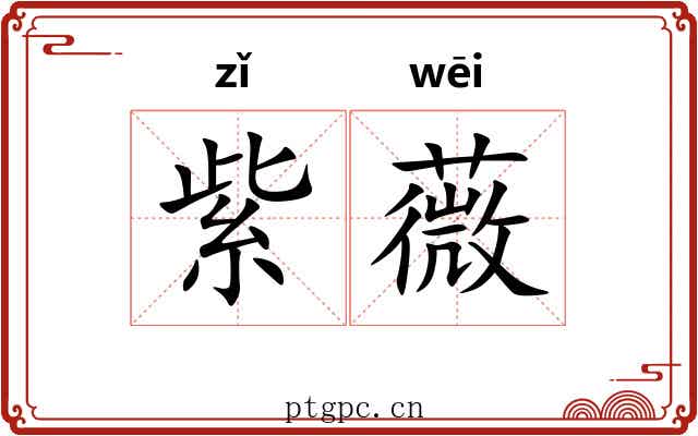 紫薇 紫薇