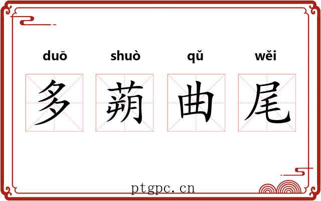 多蒴曲尾 多蒴曲尾