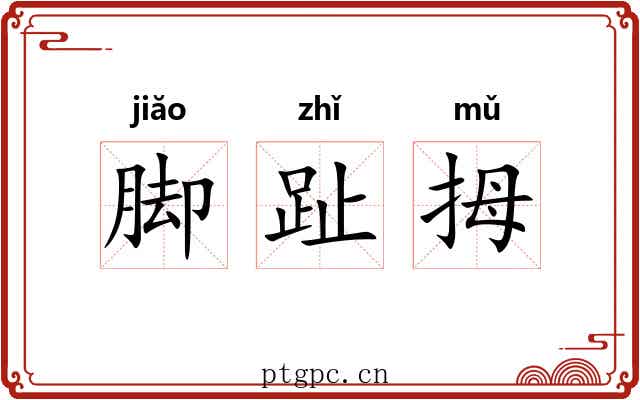 脚趾拇 脚趾拇