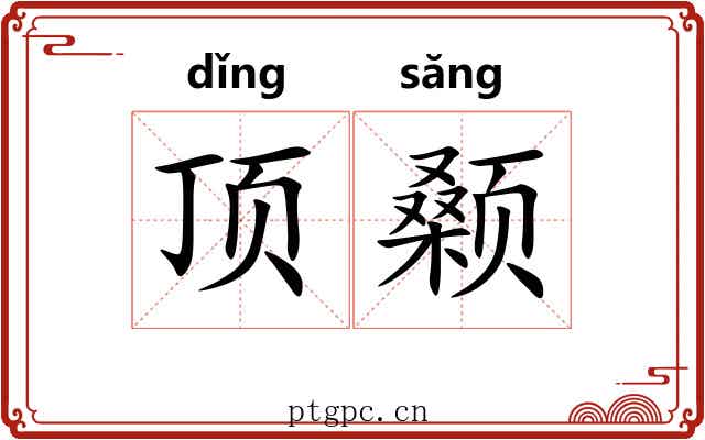顶颡