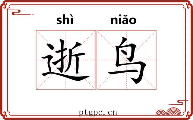 逝鸟