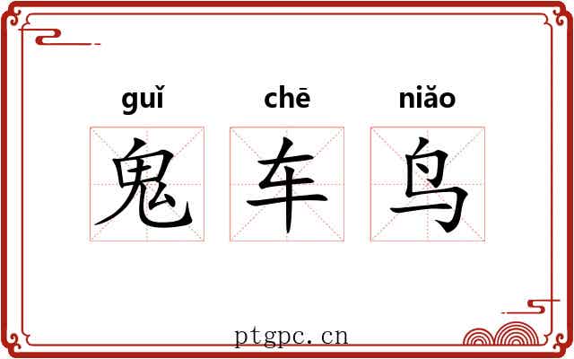 鬼车鸟 鬼车鸟