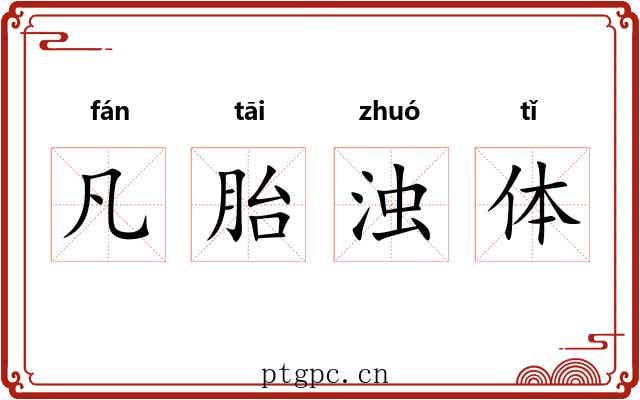 凡胎浊体