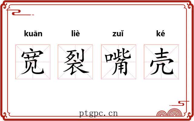 宽裂嘴壳 宽裂嘴壳