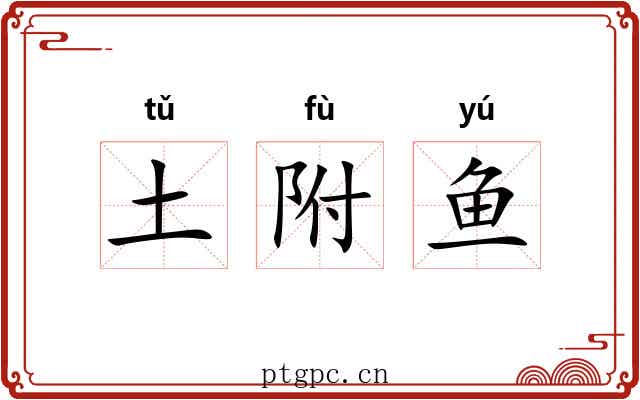 土附鱼 土附鱼
