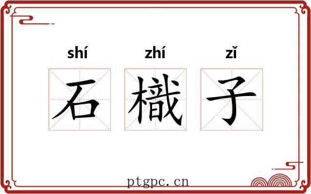 石樴子 石樴子