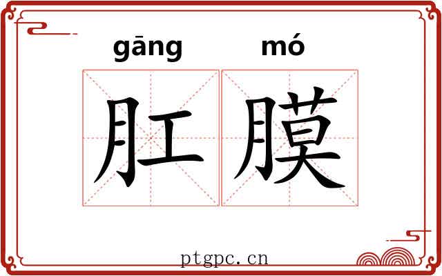 肛膜