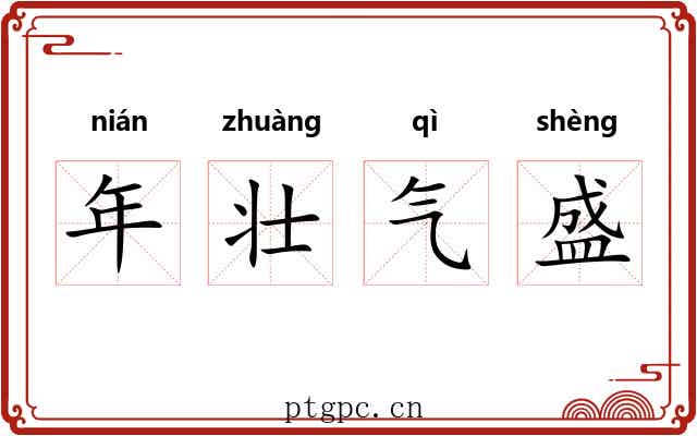 年壮气盛 年壮气盛