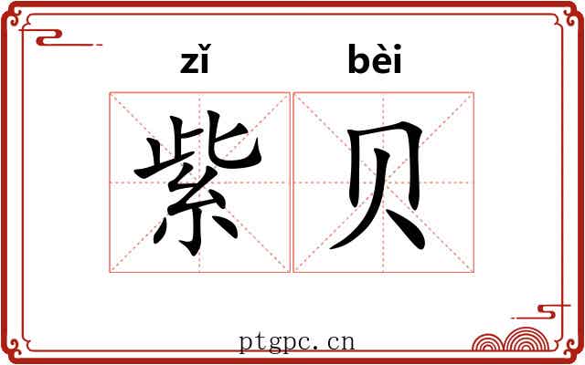 紫贝