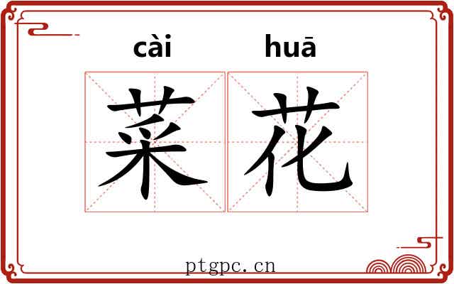 菜花 菜花