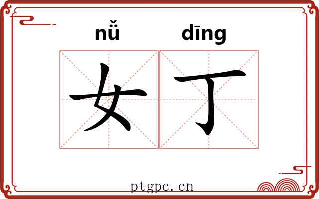 女丁